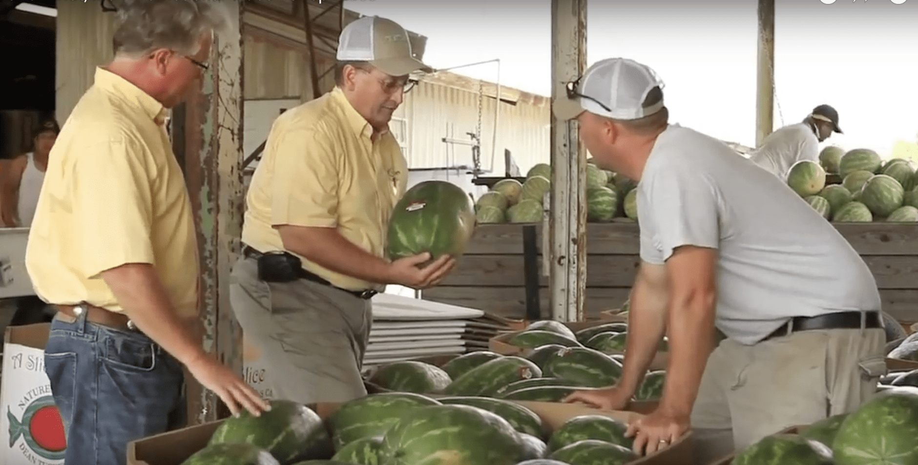 Chem Nut, Inc. Company Video